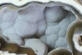 Unique, Agatized Fossil Coral Geode - Florida #82771-1